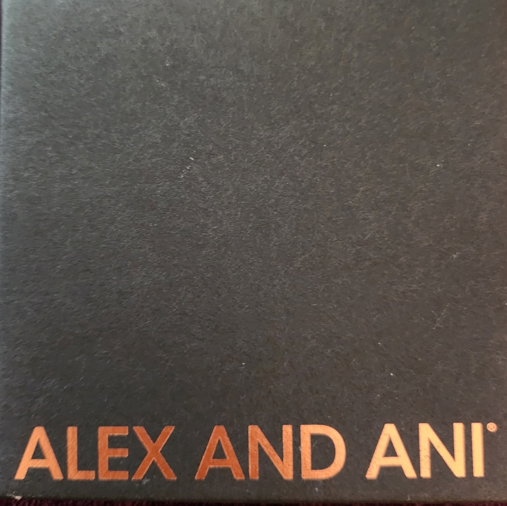 ALEX AND ANI BRACELET!